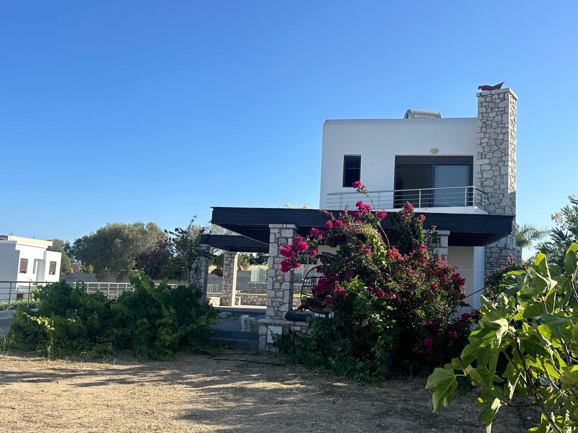 לקניה Villa Solmar Rhodes מראה חיצוני תמונה